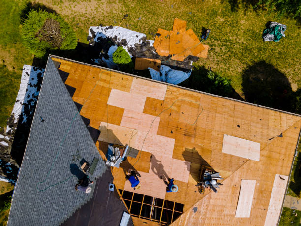 Best Commercial Roofing Services  in Wadsworth, IL