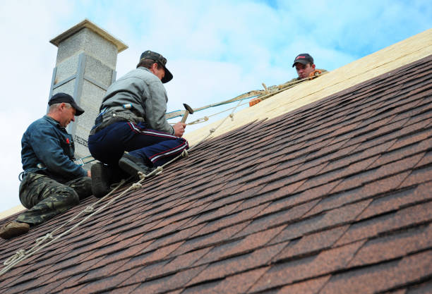 Best Storm Damage Roof Repair  in Wadsworth, IL